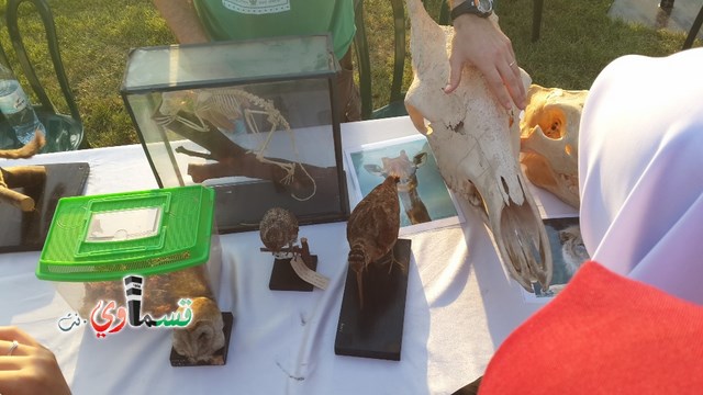 كفرقاسم: طلاب الثانوية الجديدة بفعالية ليل العلماء السنوية بجامعة تل ابيب